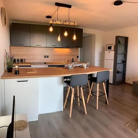 Entierement Renove Avec Vue Sur Ocean Apartment Biscarrosse