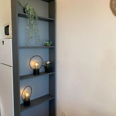 Apartment Entierement Renove Avec Vue Sur Ocean *