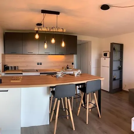 Apartment Entierement Renove Avec Vue Sur Ocean Biscarrosse